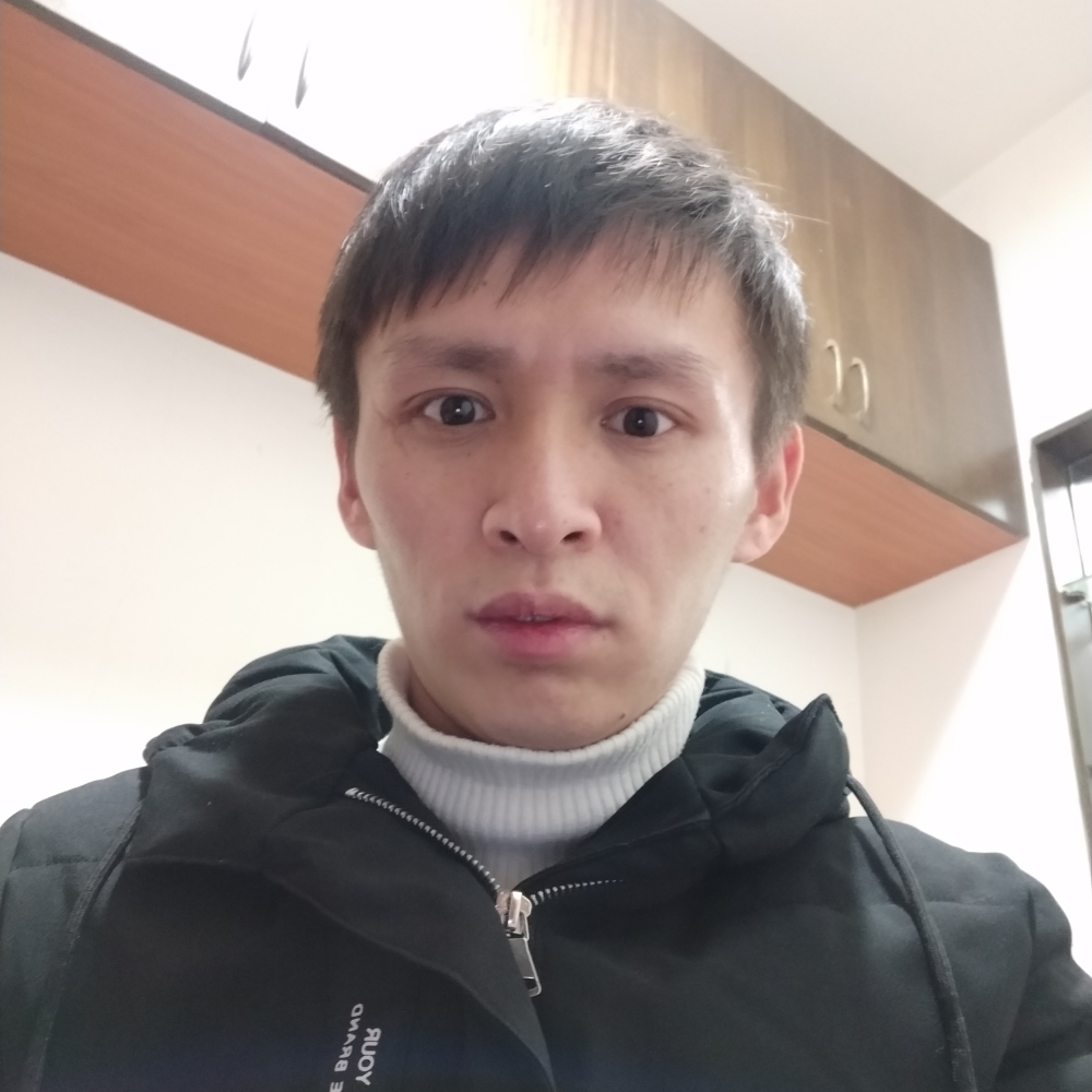 灰狼的微笑的照片