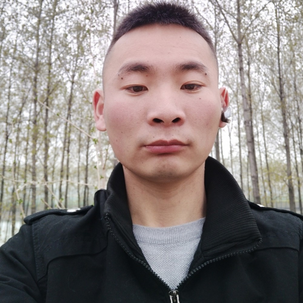 小白菜调皮的照片