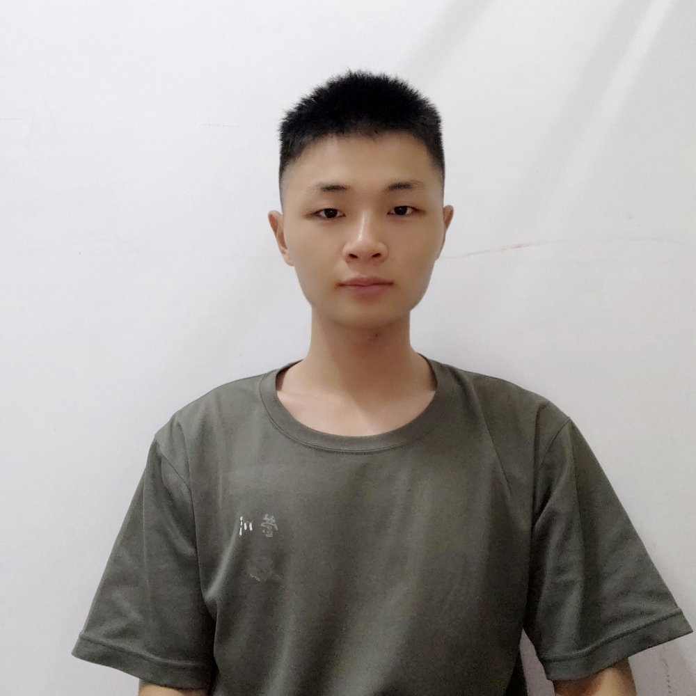 爱枫林晚的照片