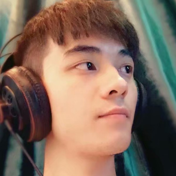 大雁邂逅友好的照片