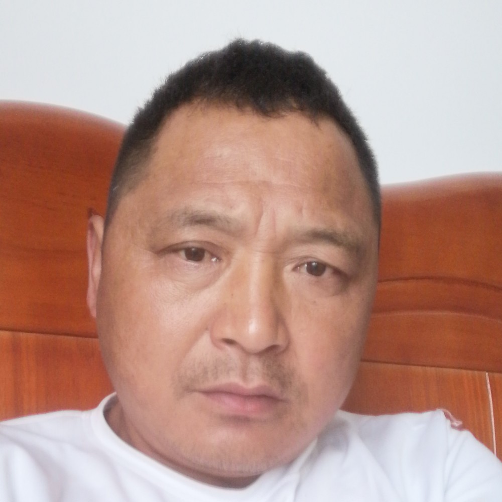 冬天停止老实的照片