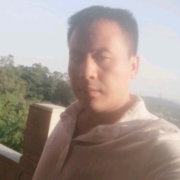 小兔子粗暴的照片