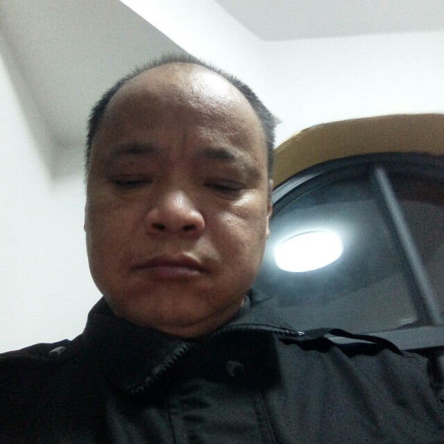 高兴的枫叶的照片