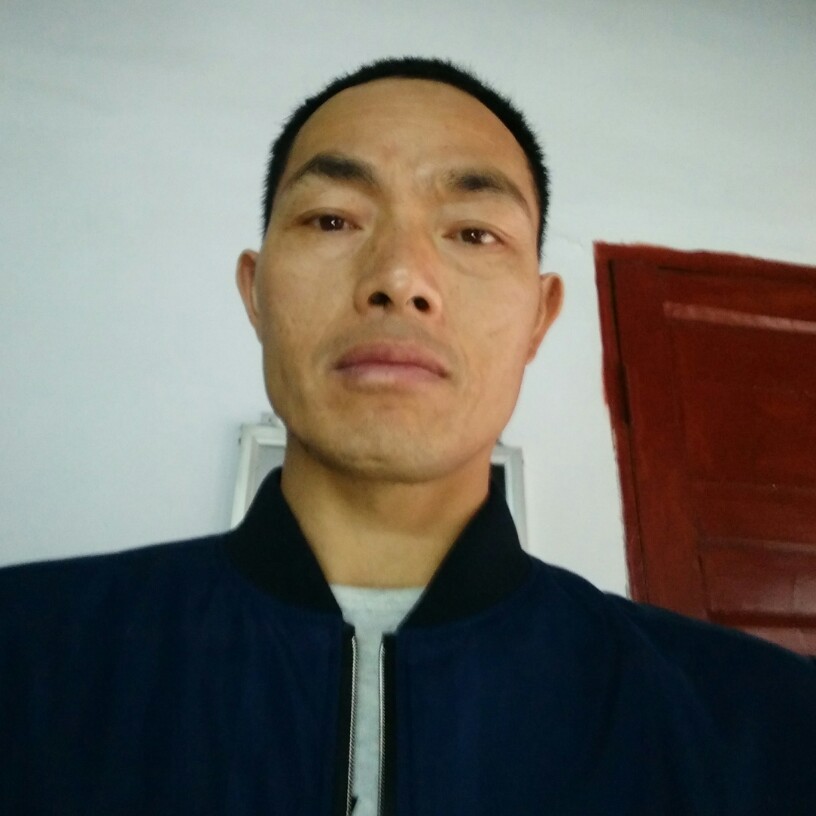 落后鸭子的照片