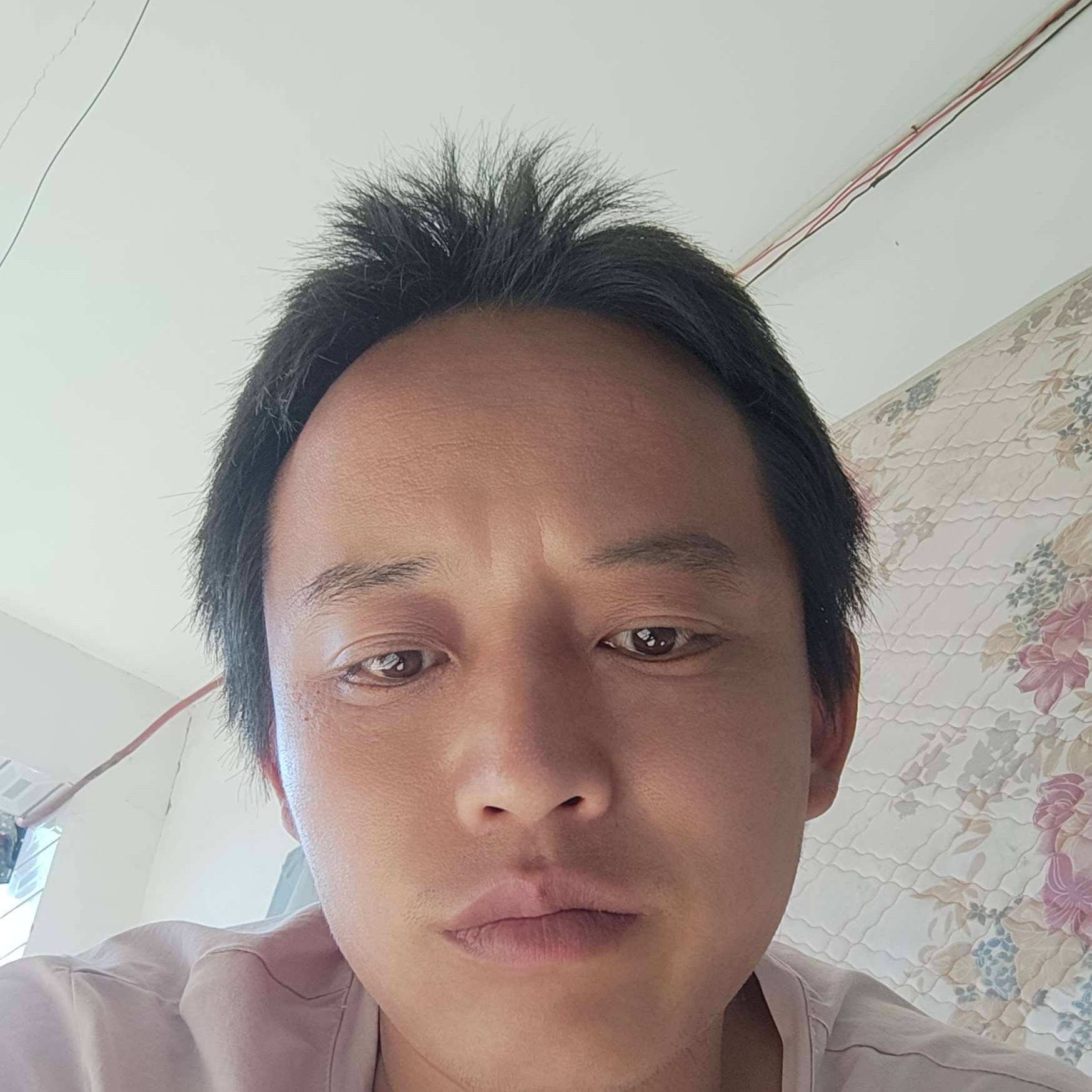 拉长给火车391的照片