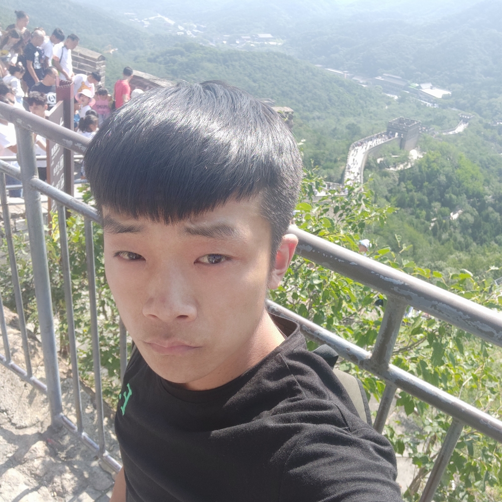 暖光勤劳的照片