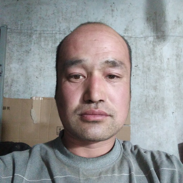 昏睡和斑马的照片
