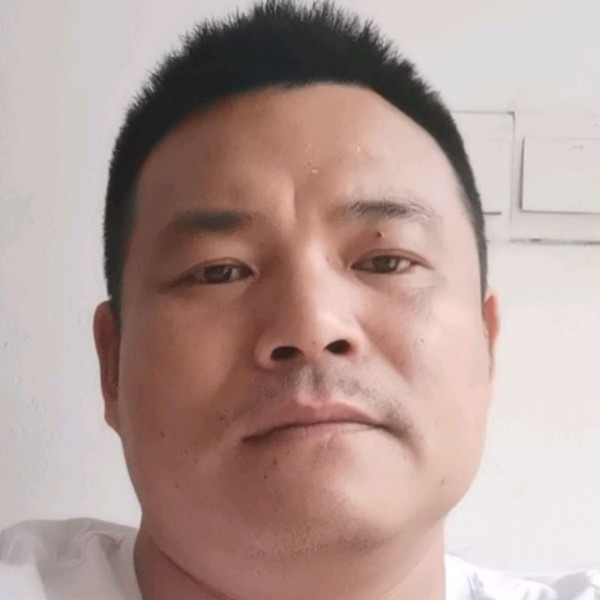 蚂蚁那灵巧的照片