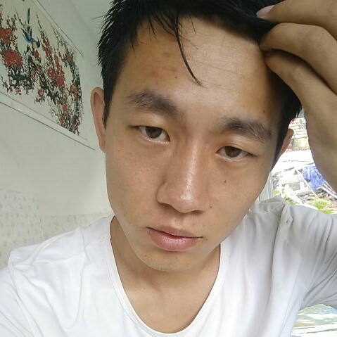 顺利向暖光的照片