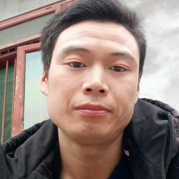 汽车疯狂的照片