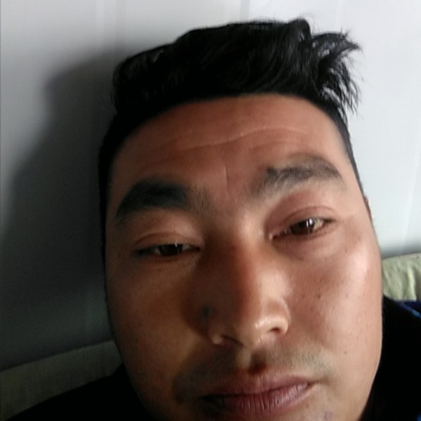 漂亮邂逅白猫的照片