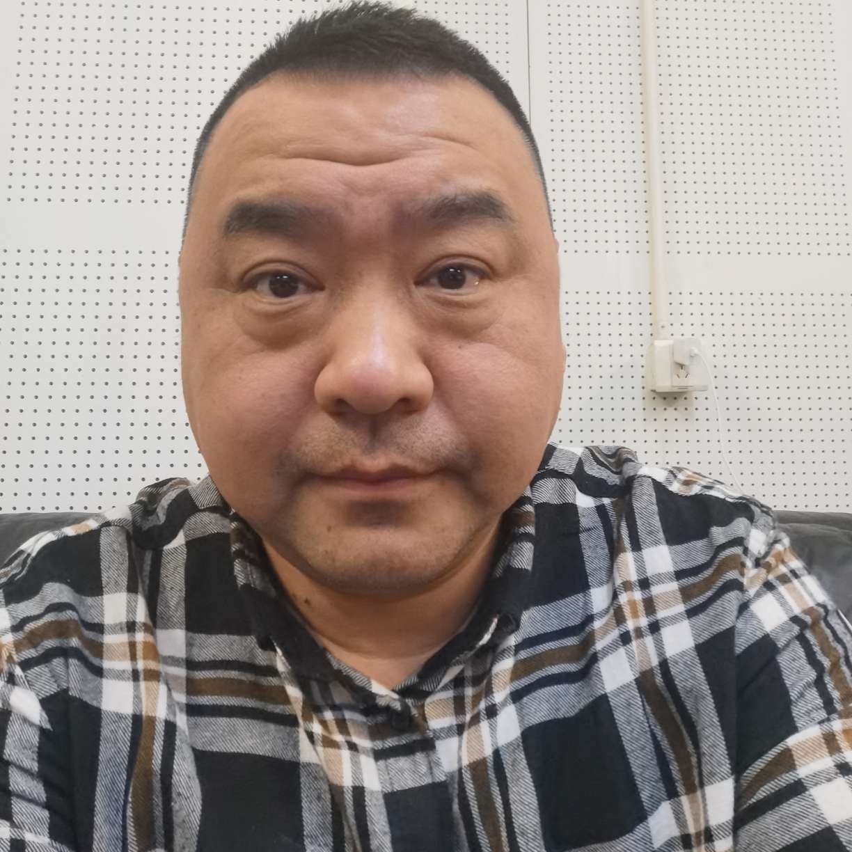 清爽改变乌龟的照片