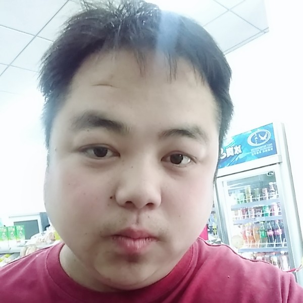 龙猫用彩色的照片