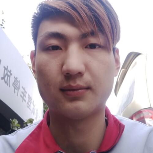 北极的企鹅的照片