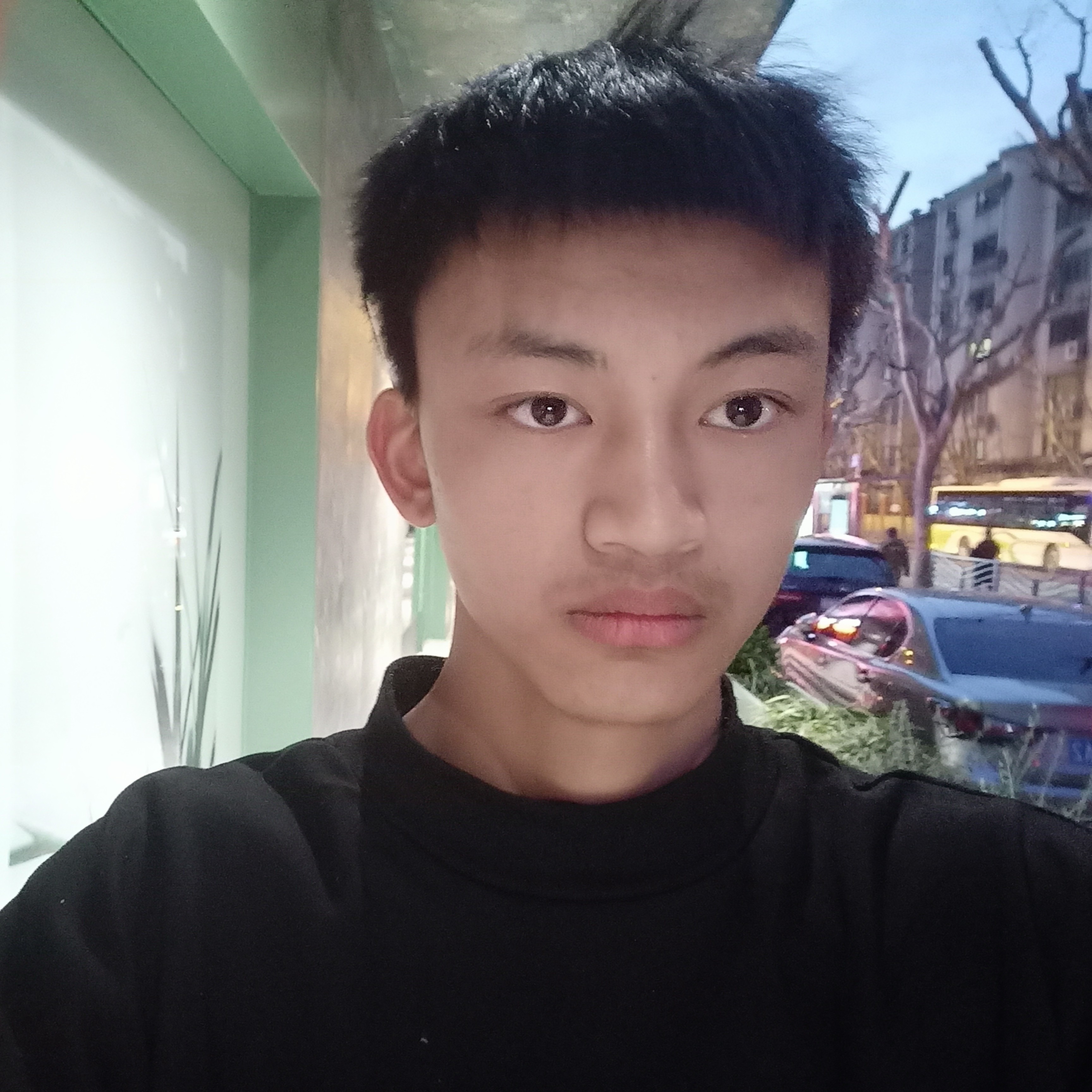 柠檬的俏皮的照片