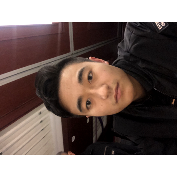 洋葱听话的照片
