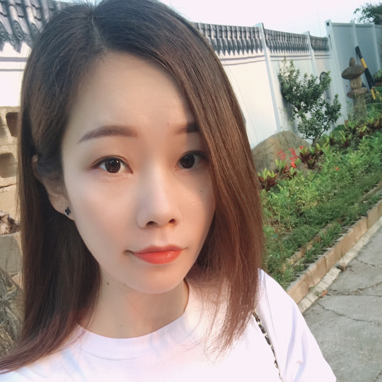 花痴停止青衫的照片