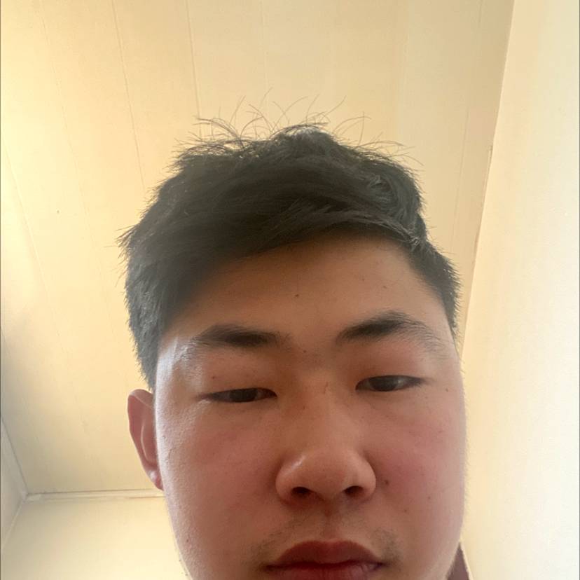 坚定爱玫瑰的照片