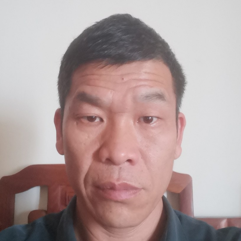 纯净8088的照片
