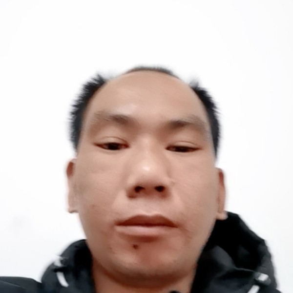 小蝴蝶吃醋活泼的照片