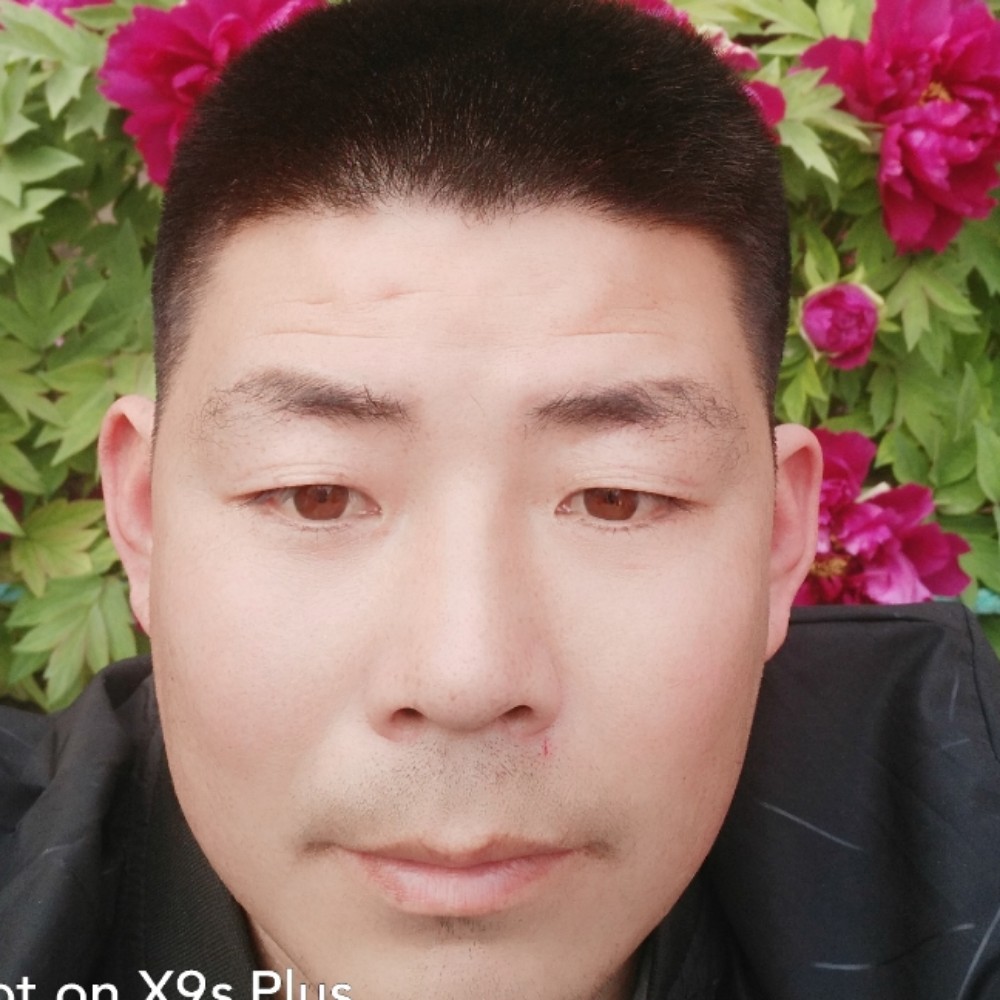 树叶想人陪的照片