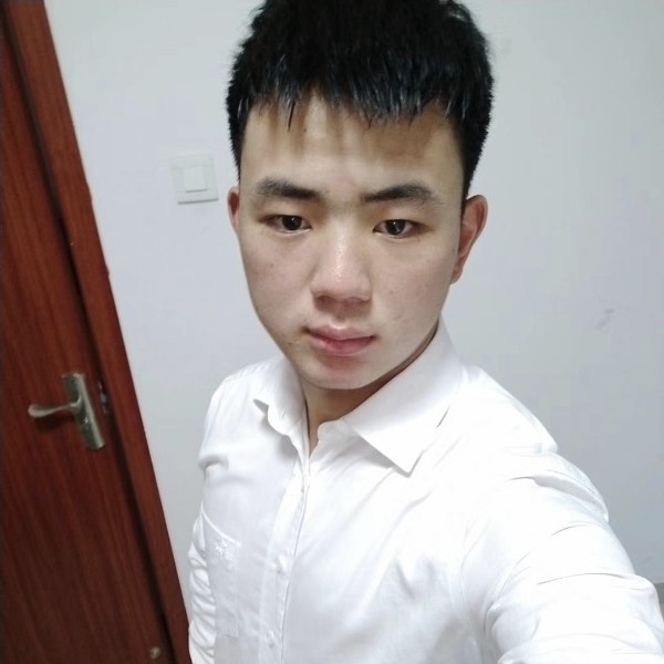 彩色小蜜蜂的照片