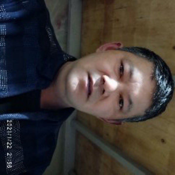 机灵有过客的照片