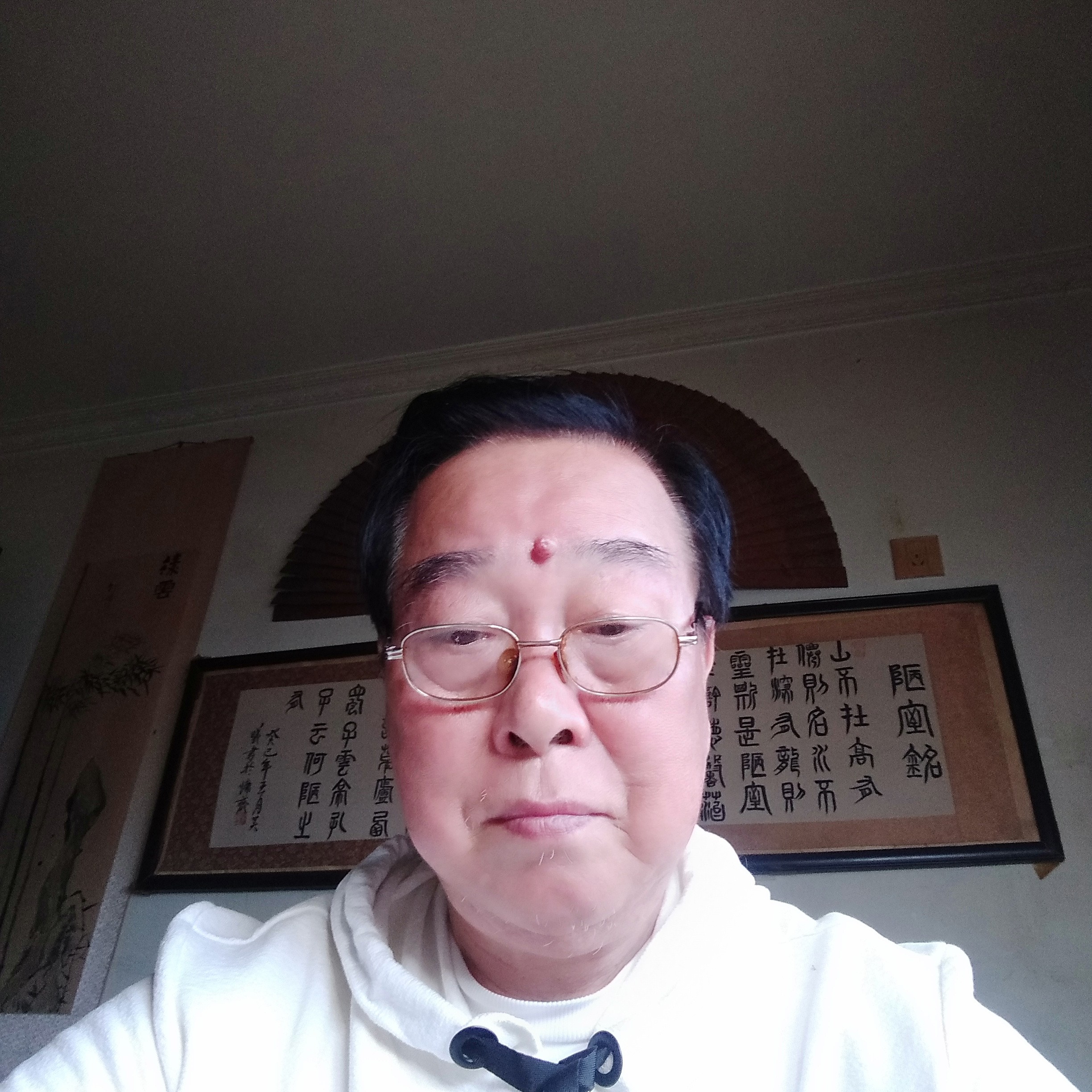 西湖居士的照片