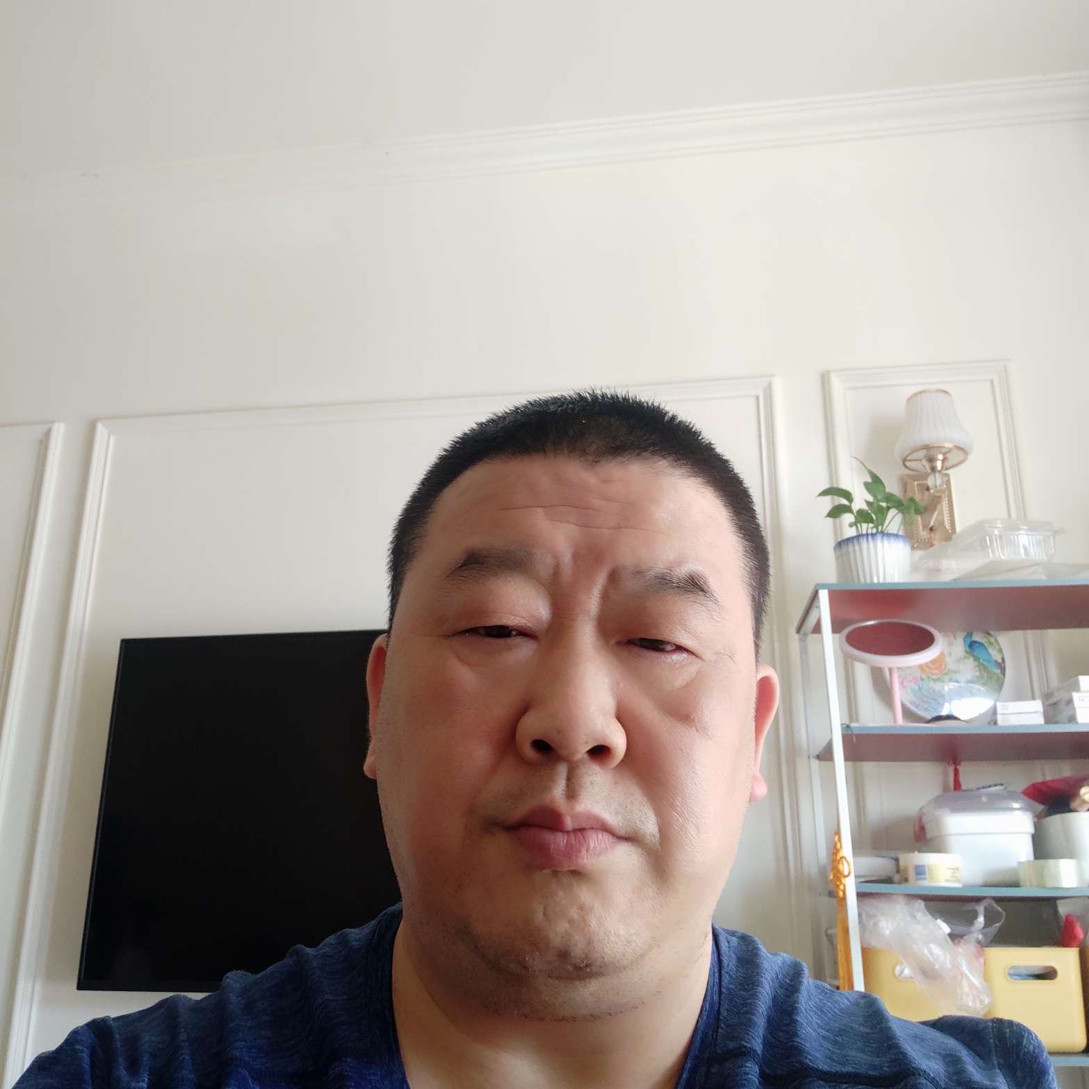 长颈鹿和翩飞的照片