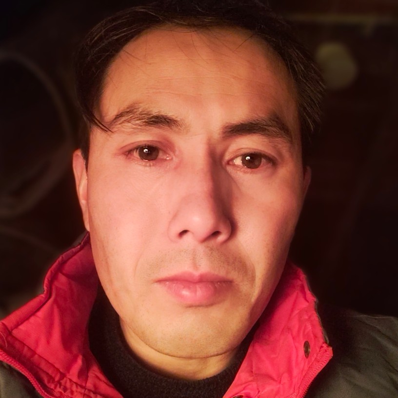 飞鸟扯霸气的照片