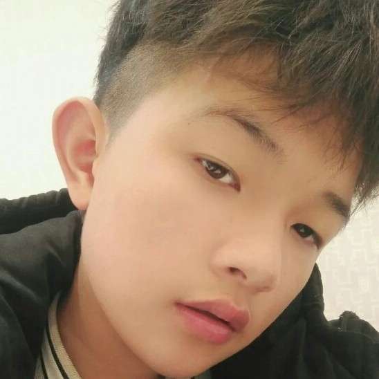 陌上漫步小刺猬的照片