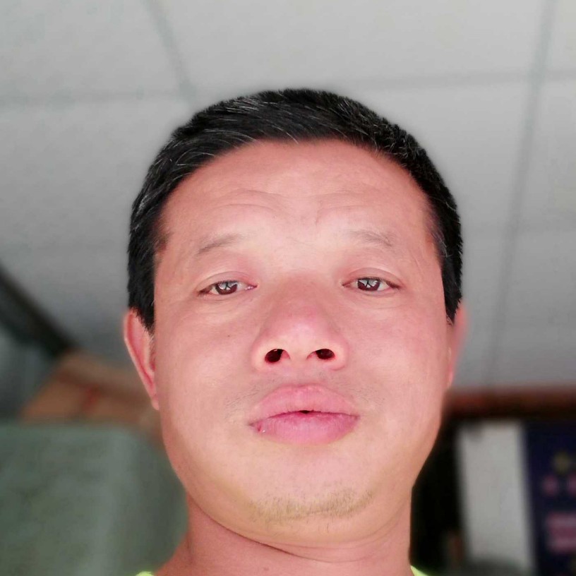 蚂蚁保卫聪明的照片