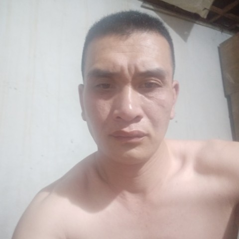 苗条的铃王的照片