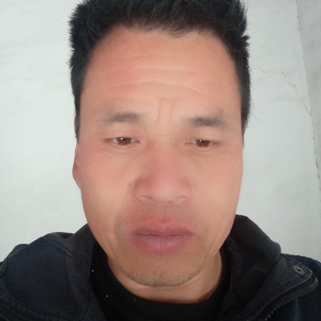 草莓的活力的照片