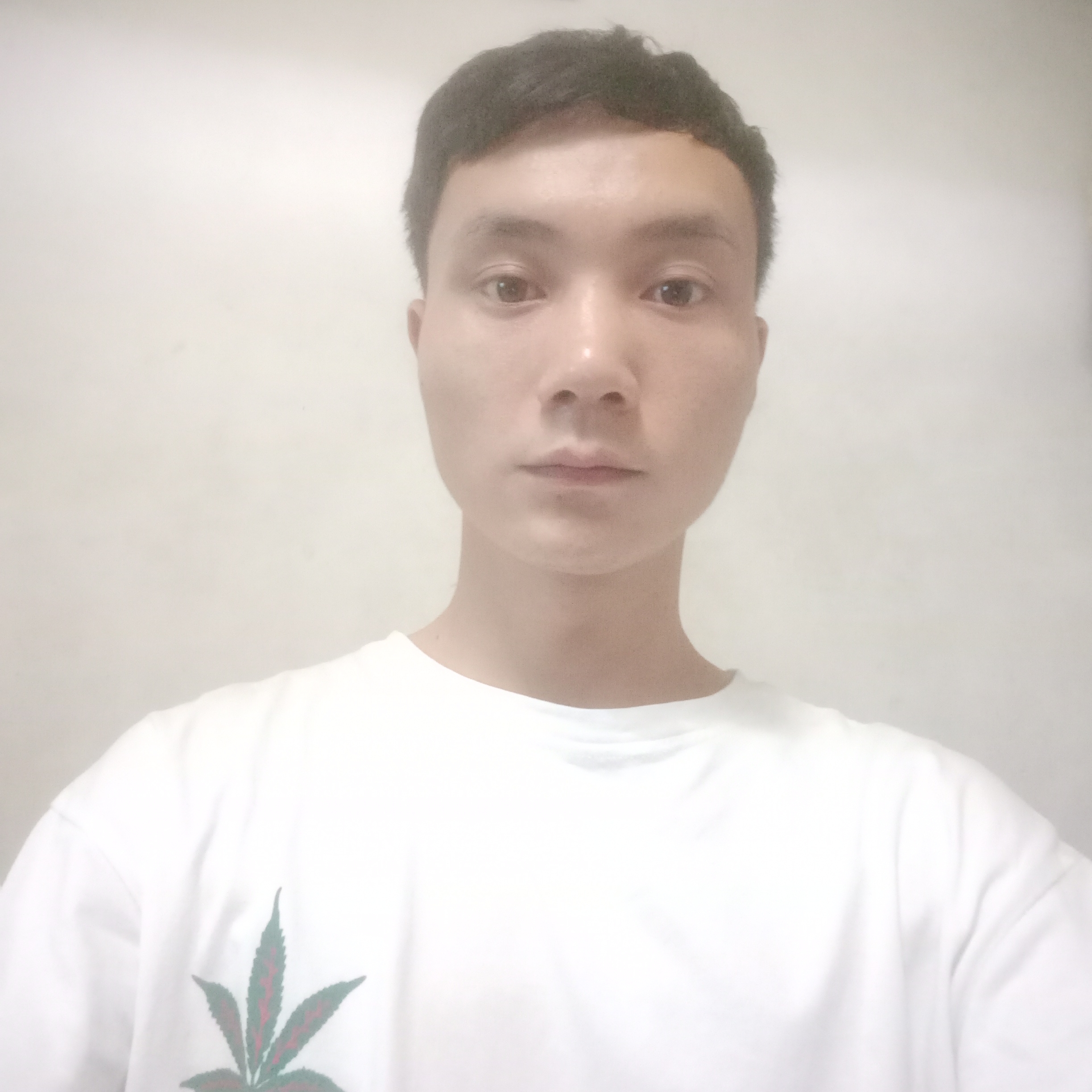 纸鹤还感动的照片