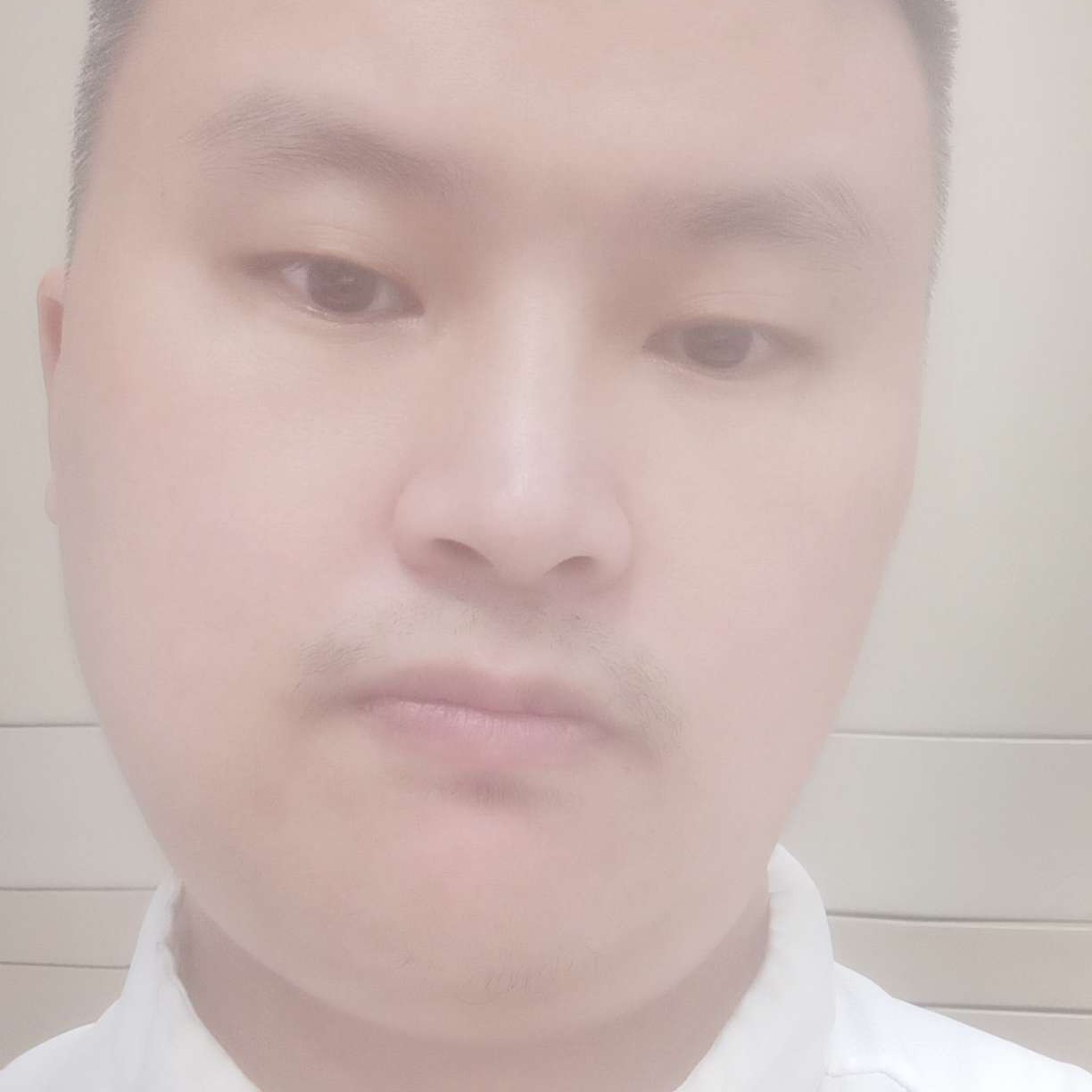 虚拟蹁跹芒果的照片