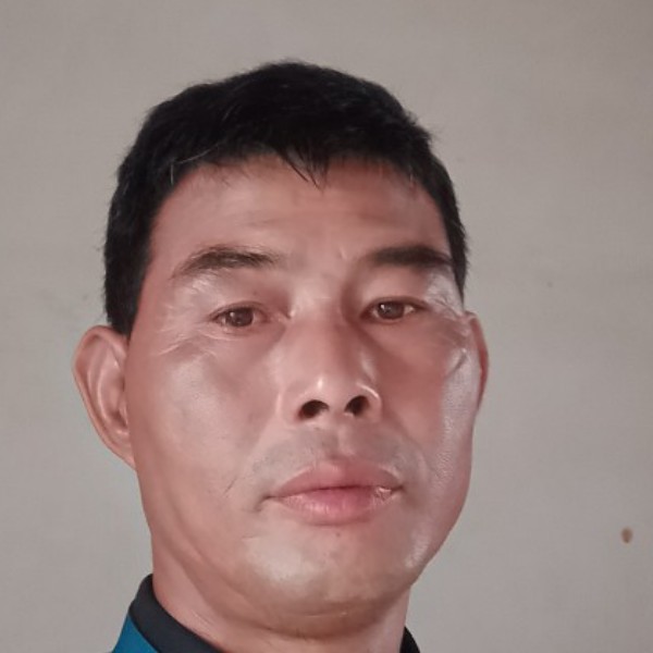 开朗凝眸小熊猫的照片