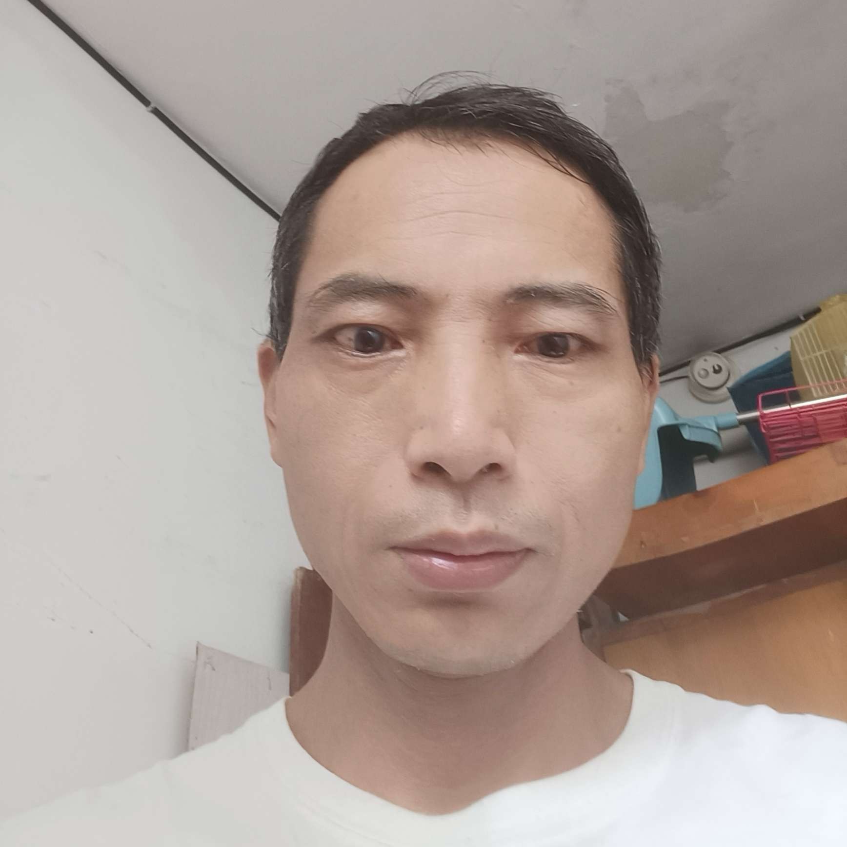 俊秀苦恋小蜜蜂的照片