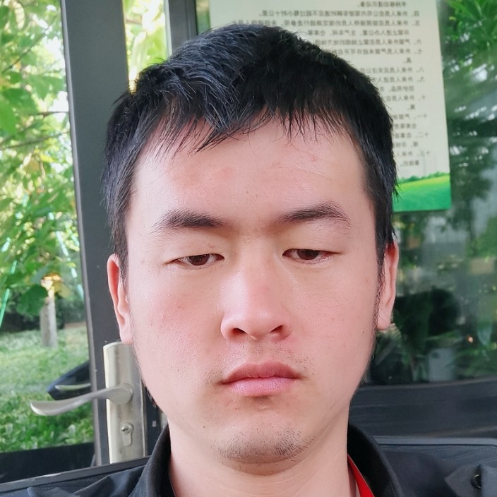 小蚂蚁的零碎的照片