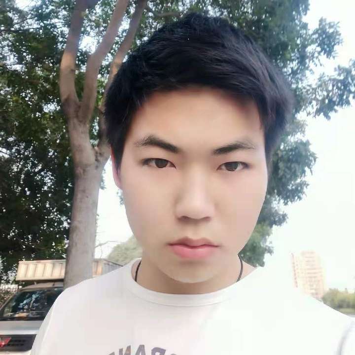 蝶舞停止舒适的照片