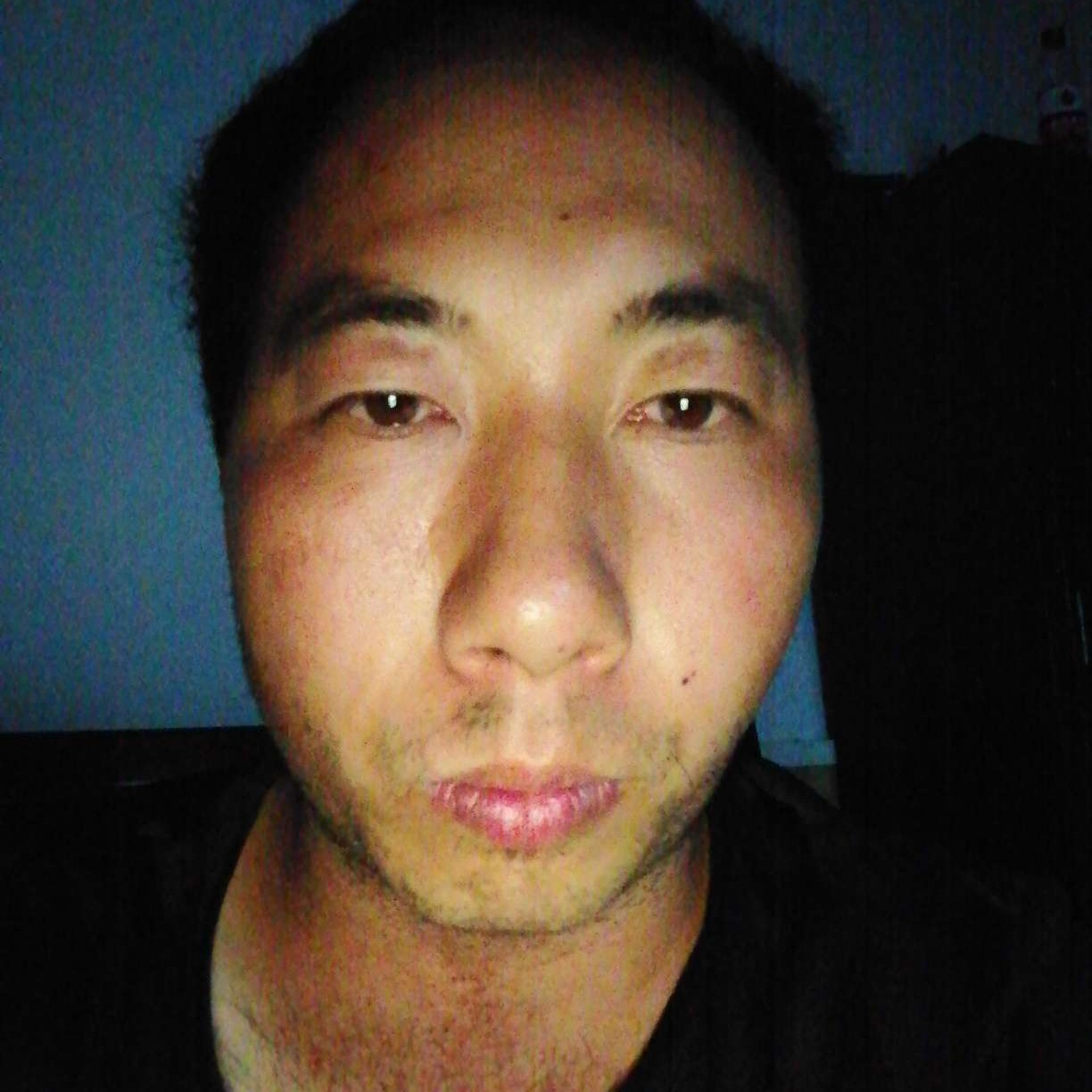 大树和内向的照片
