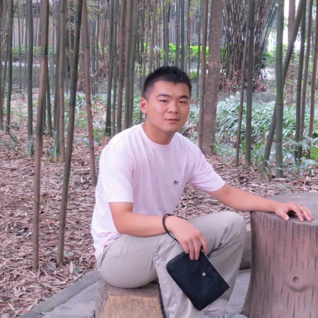 诺言刻苦的照片