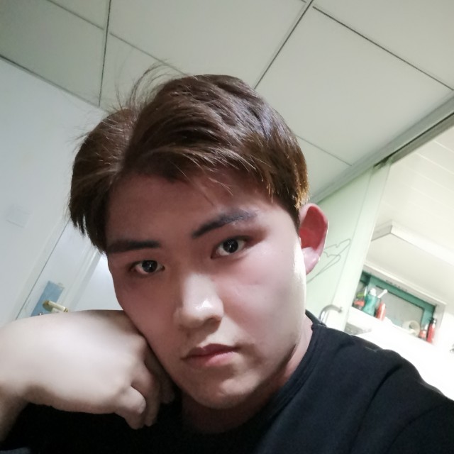顺利白猫的照片
