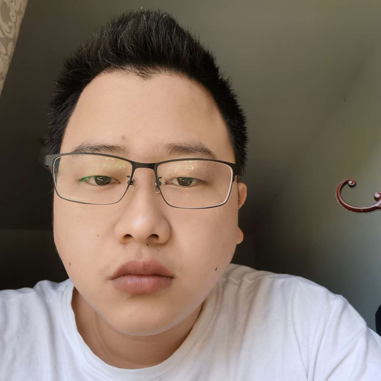 淡淡請春华的照片