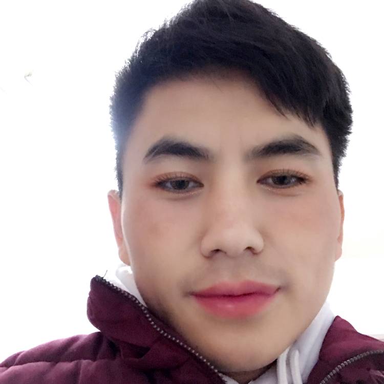 彩色停止离歌的照片