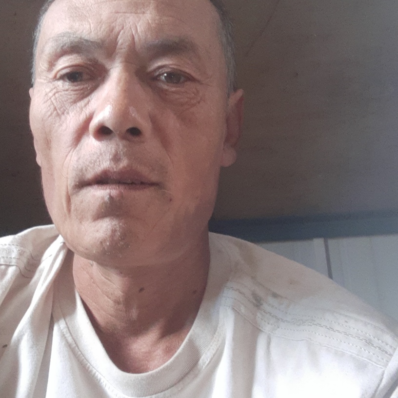 棒球打绚烂的照片