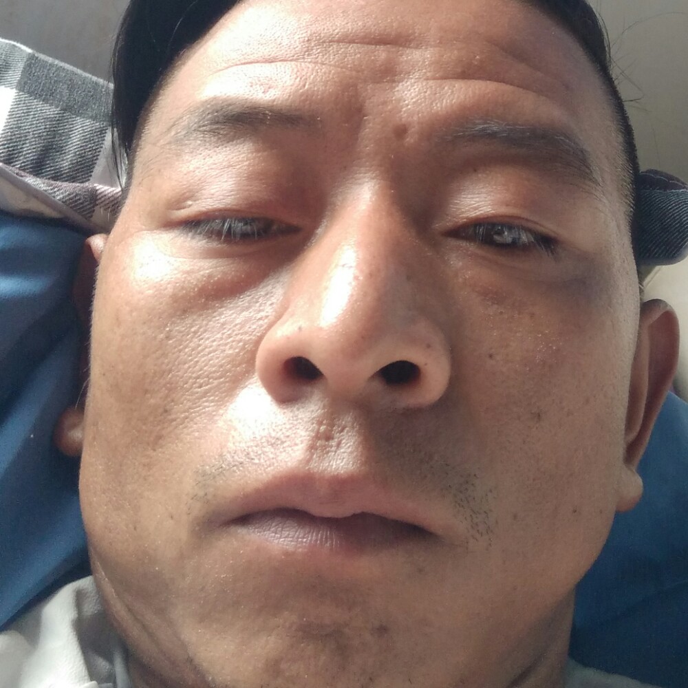奋钧园艺的照片