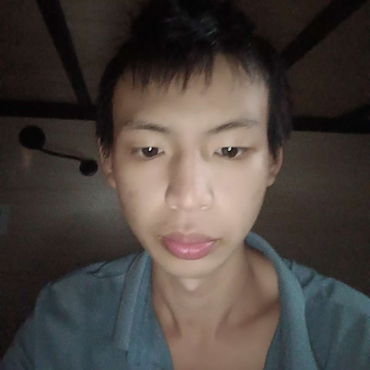 会员31439351的照片