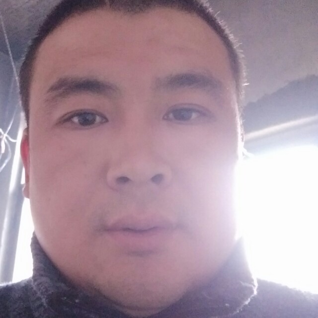 怕孤单小猫咪的照片