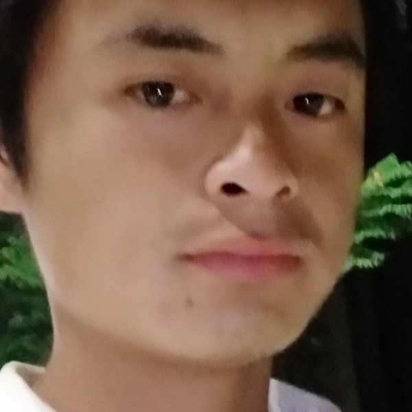 陈陈相因相远你涛的照片